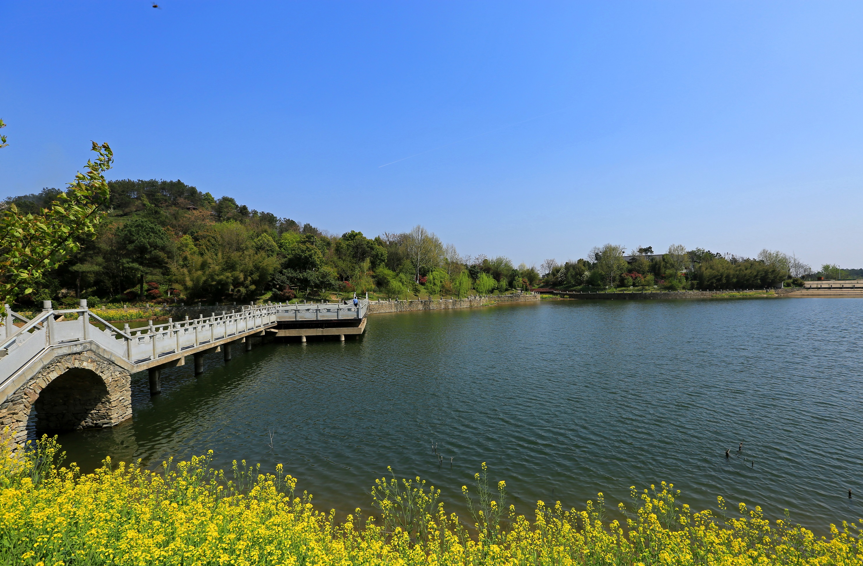 武汉市黄陂区新建扩建三大水库群,木兰景区再迎水源保护区