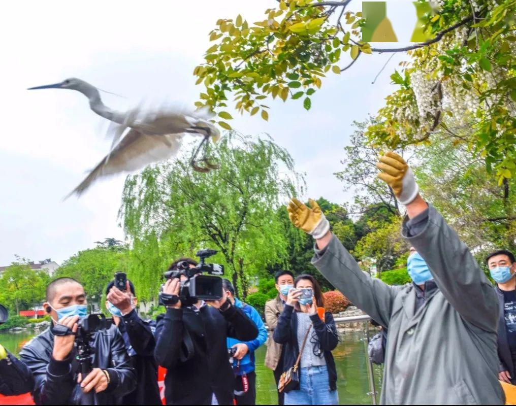 彭祖园爱鸟周活动纷呈多彩爱鸟护鸟引众关注