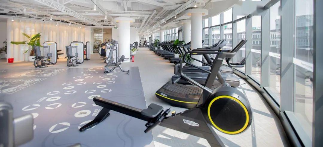 专访宝力豪健身董事长曹岩坚持开启完整的健康人生