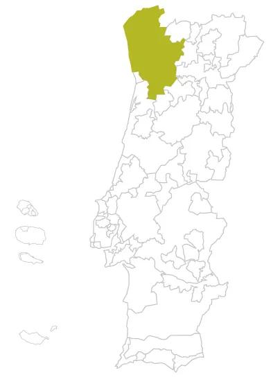 葡萄牙产区：绿酒产区
