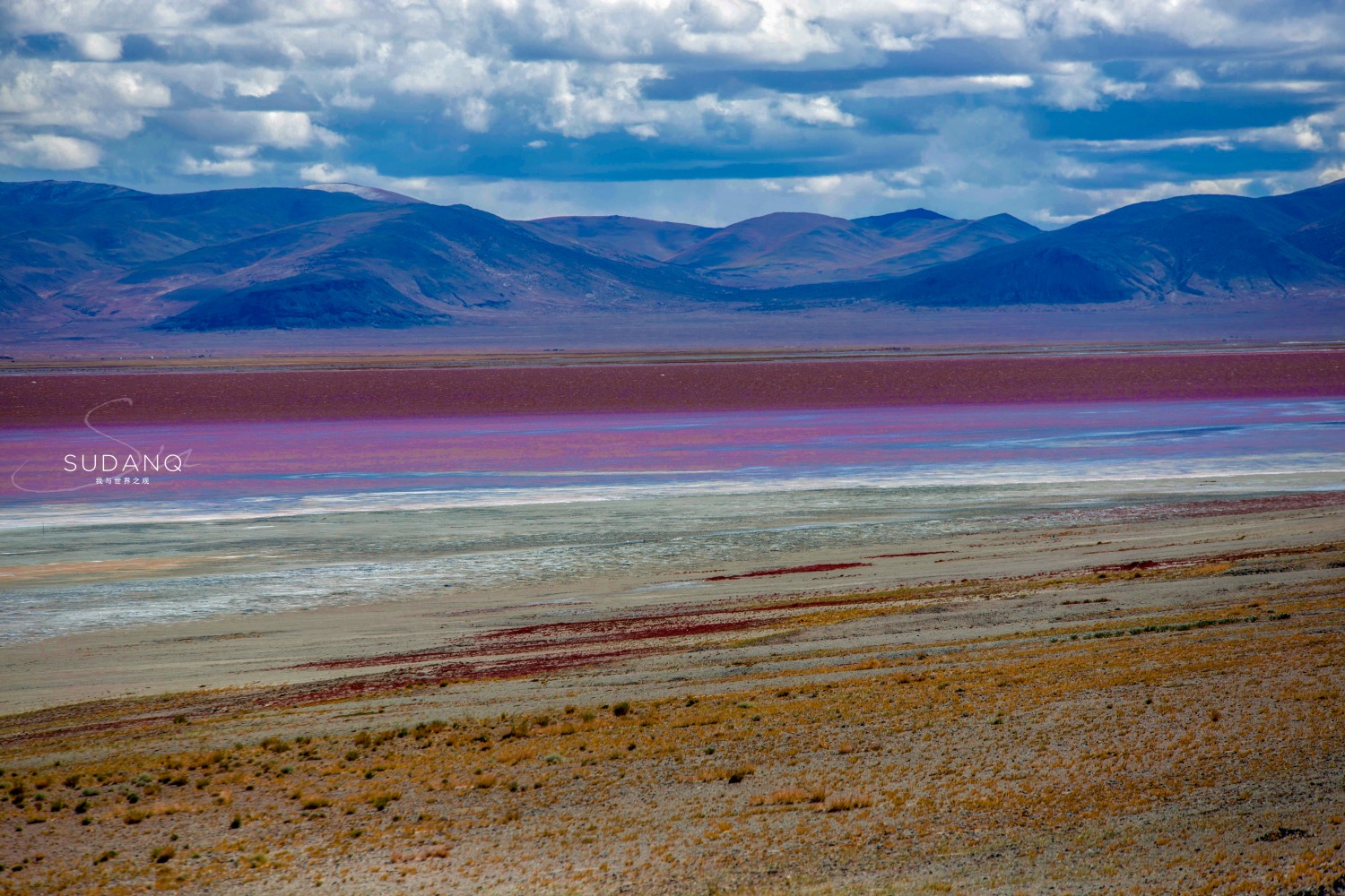 羌塘无人区的罕见风光:扎布耶茶卡,西藏唯一的粉红色湖泊_盐湖