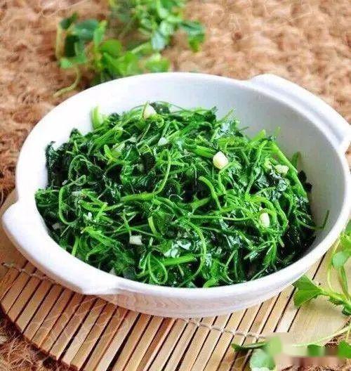 "三月三苜蓿芽芽缠搅团"春天可谓是野菜最丰富一个季节了应春生之气