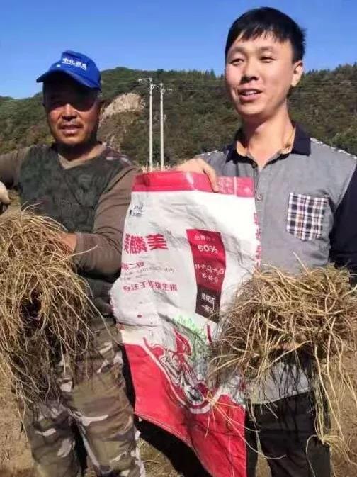 中国粮仓大东北施肥就用美麟美