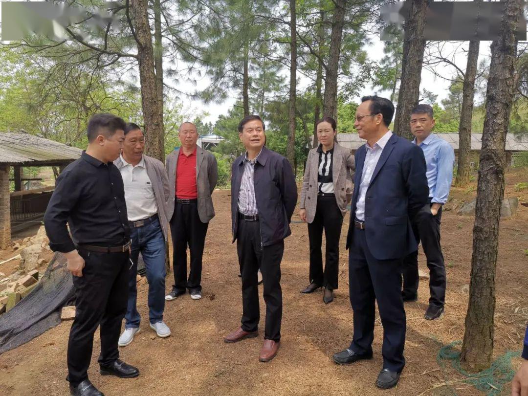 黎家能深入乡镇调研民生实事项目人大代表票决制等工作_小水镇