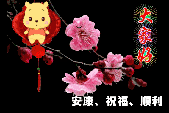 2020最新漂亮早上好问候表情动态图片带早晨好鲜花温馨问候图