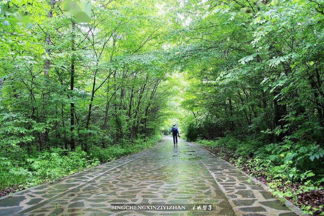 相约镜泊湖地下森林漫步在火山口与鸳鸯池畔
