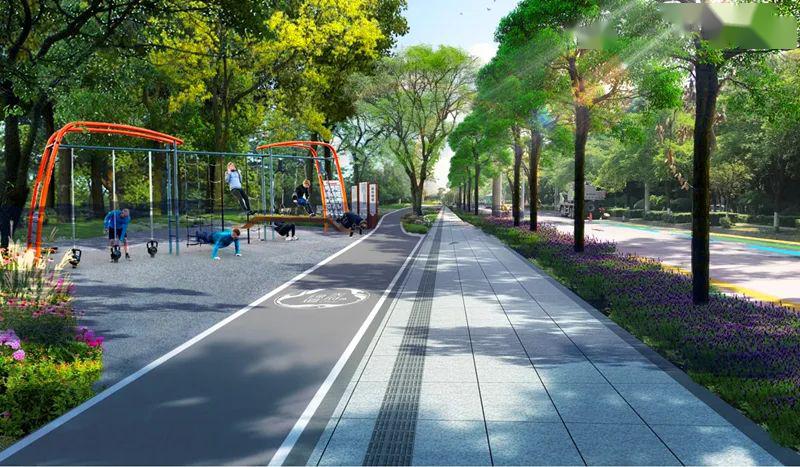 这个片区绿道体系打造完成!涉及四条街道._道路