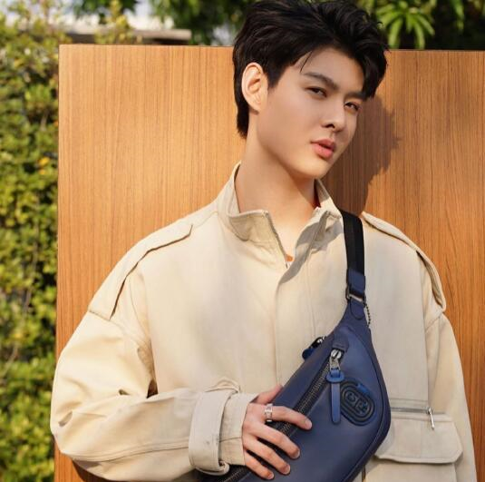 jamesji中文名叫陈吉祥,泰星起名都这么接地气吗?