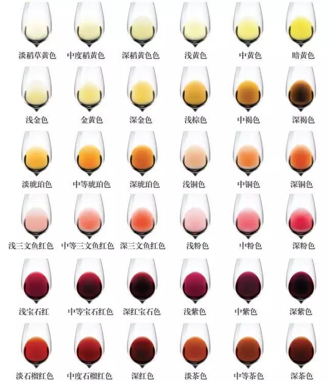 葡萄酒颜色