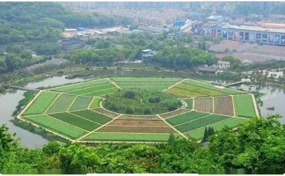 2020疫情后春游杭州太子湾张苍水墓祠茶叶博物馆八卦田