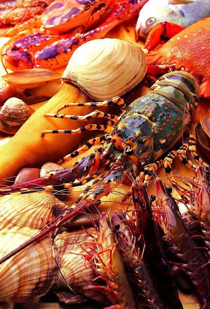 价格最低!品质最好!多种高档海鲜任你选