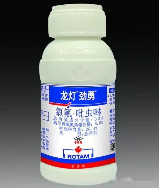 晚熟柑桔病虫害防治柑桔蚜虫