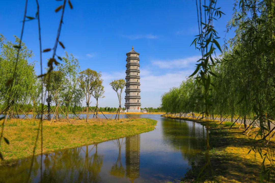 春光正好韶华莫负影像清丰摄影作品三