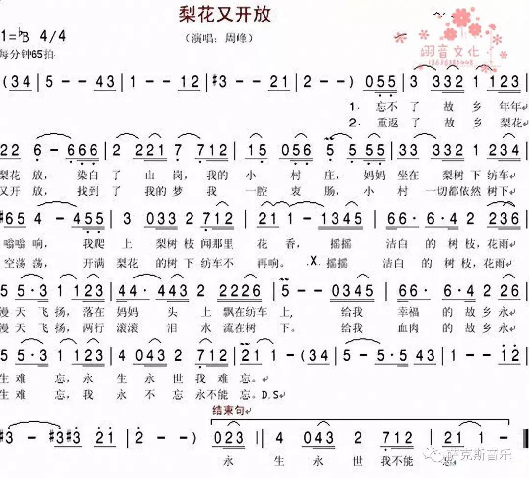 梨花又开放教唱简谱图片