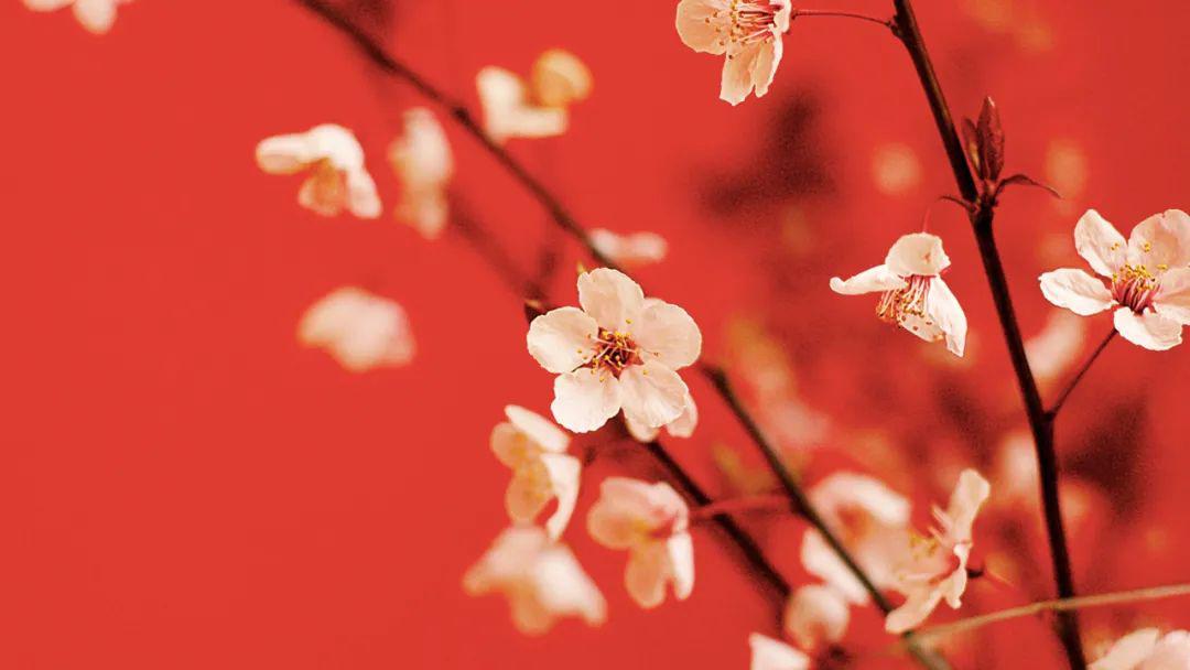 ipad壁纸超清电脑桌面壁纸朋友圈背景图