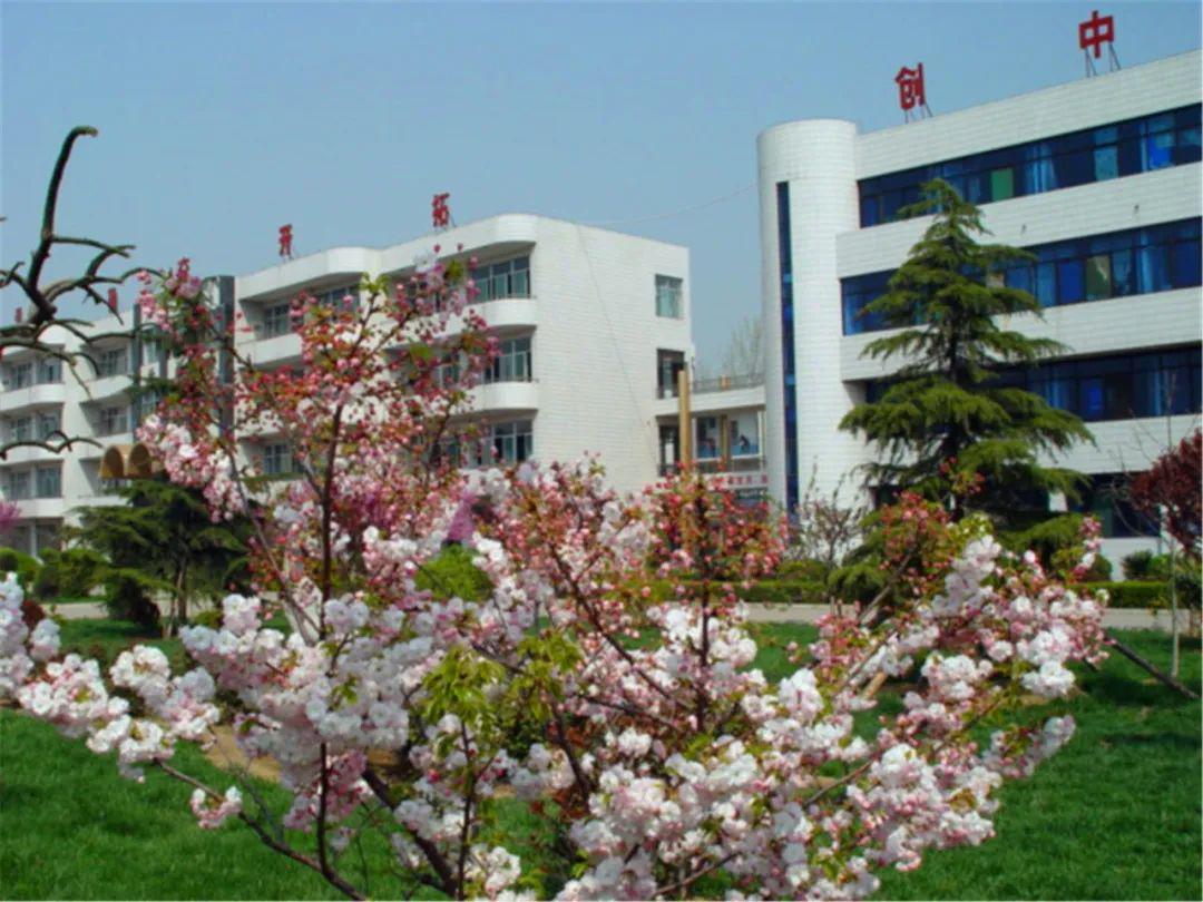 创建文明校园让每一个生命绽放光彩宁阳一中文明校园创建活动展示