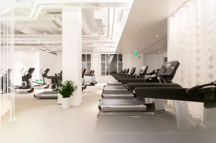 专访宝力豪健身董事长曹岩坚持开启完整的健康人生