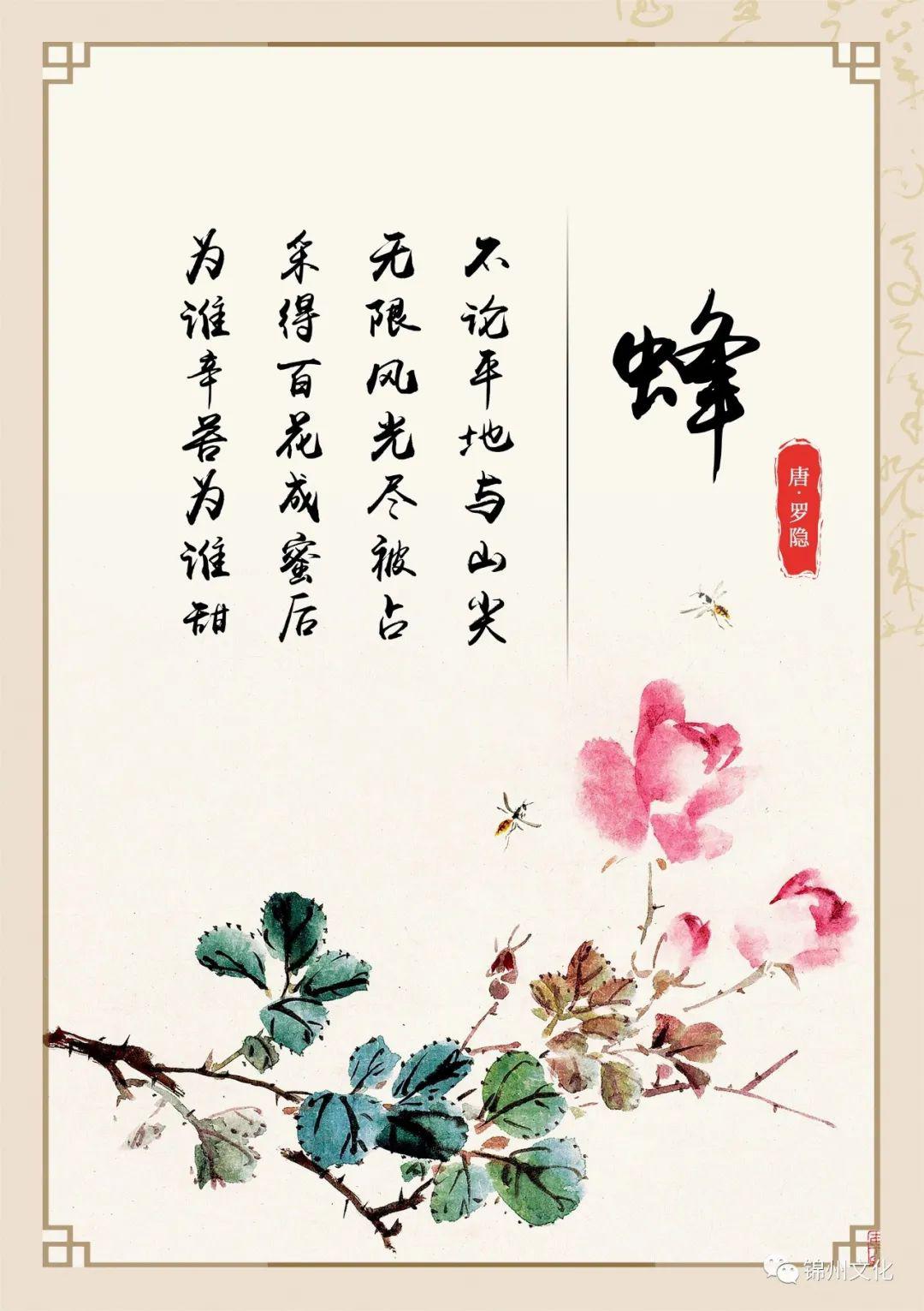 锦州小凌河北岸再添新景观文化绿道古韵悠长