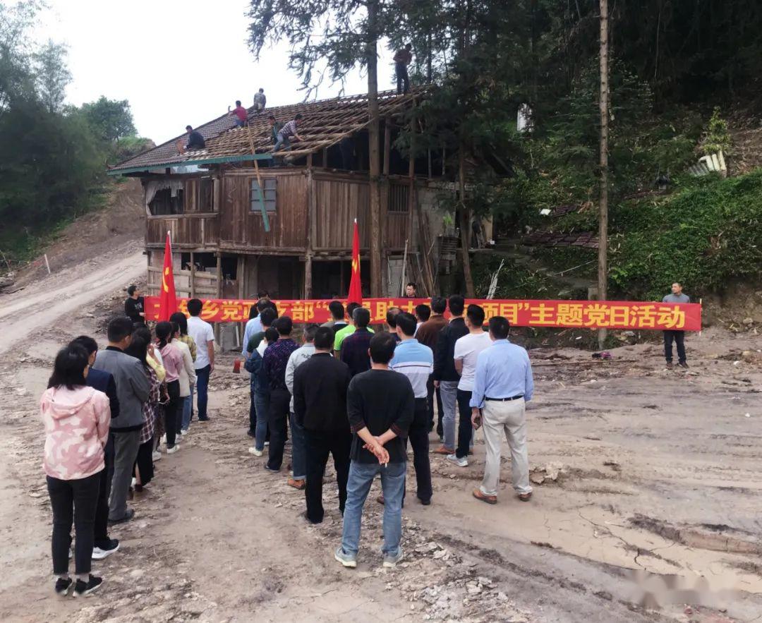 大年乡党员活动助力重点项目建设