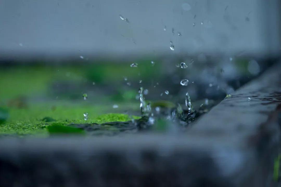 王阳明 | 大雨过后,有两种人_龙场
