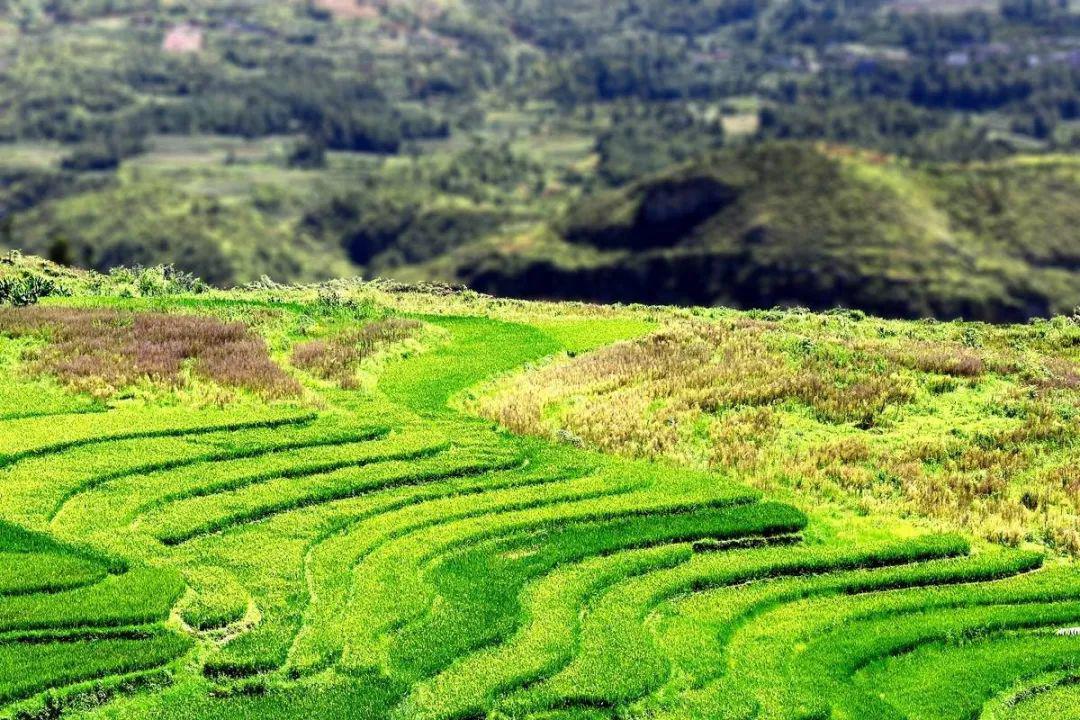 壮观丨为什么要俯瞰六盘水这就是最好的答案