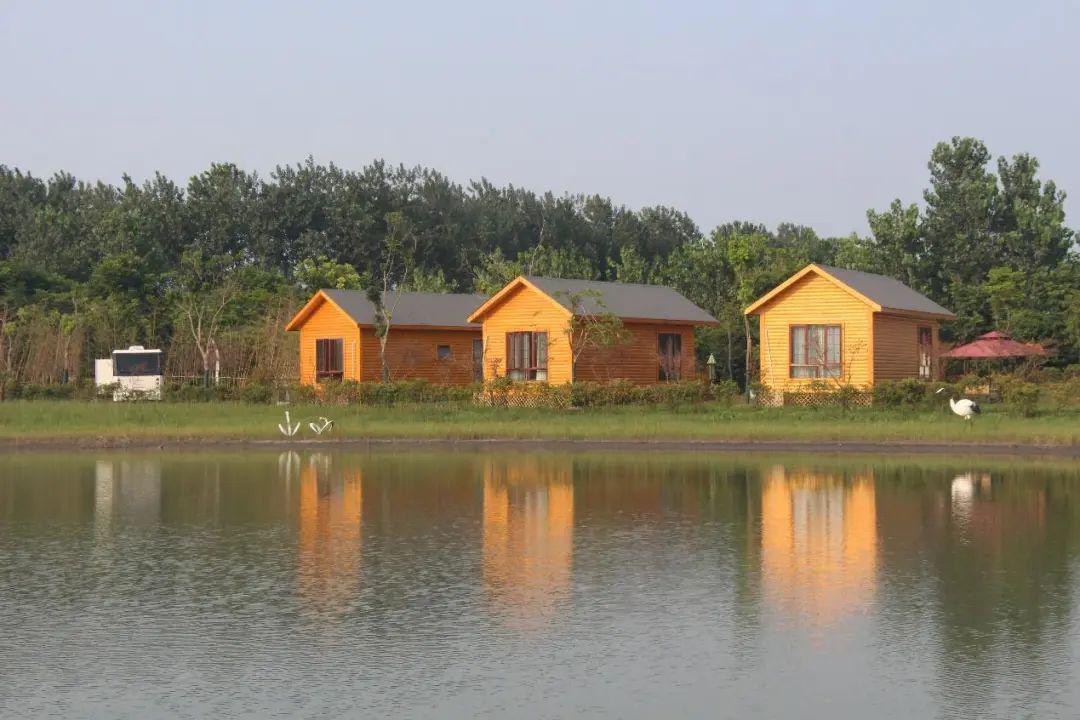 溱湖绿洲度假村里有小桥流水人家,漫山遍野的花草,还有清新的空气和