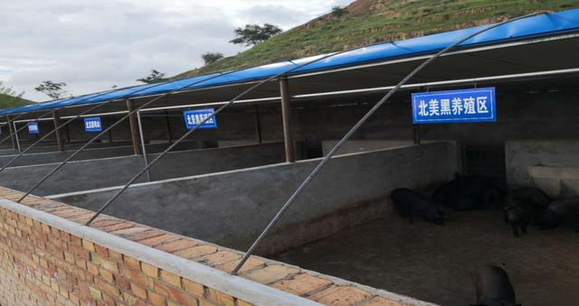 榆林市定边县野獾养殖产业基地渭南市金堆山珍线下展销实体店2019年底