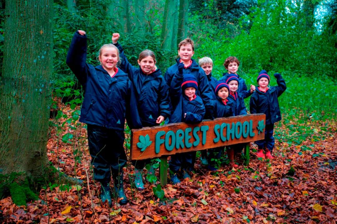 入门森林教育你先得知道ocn