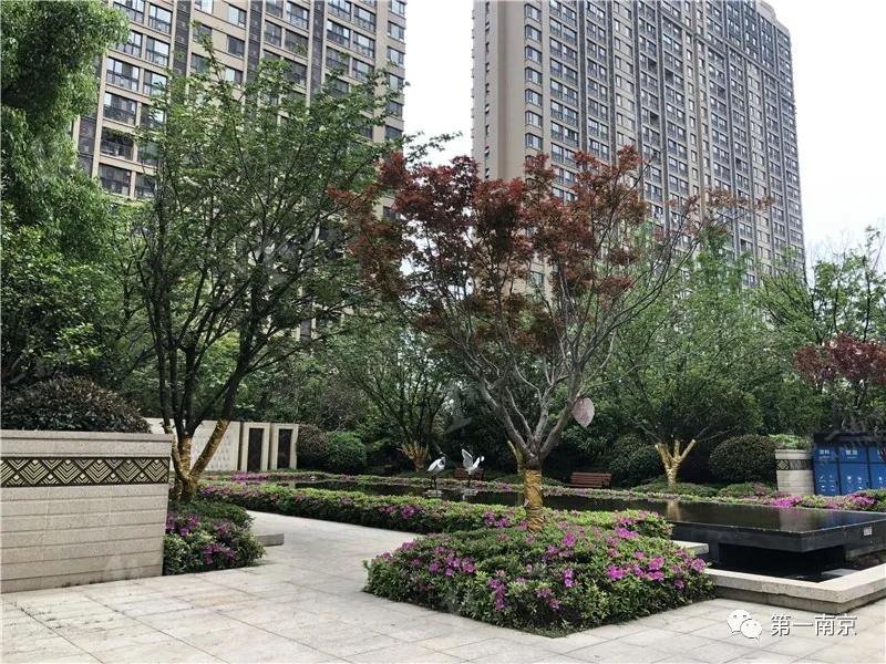 南部新城花园盘被央视点赞!业主全名校毕业!二手欲冲6万/㎡!