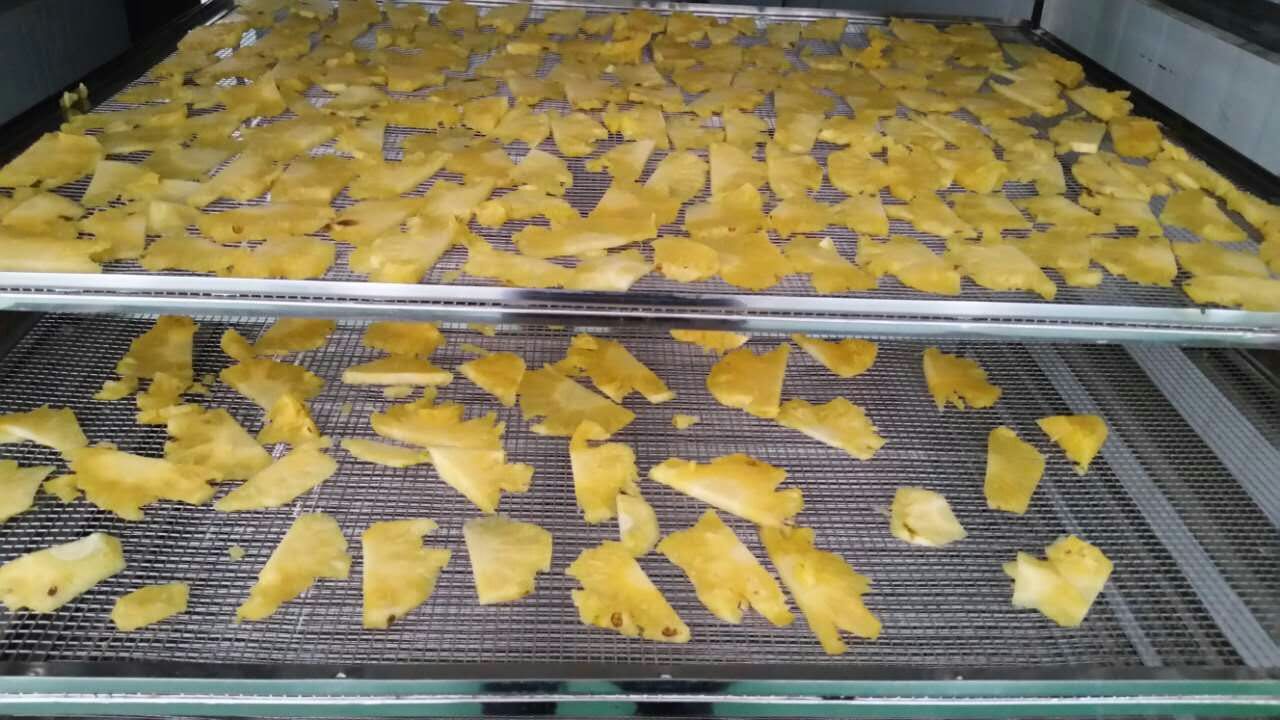 菠萝烘干系统设计工艺展示