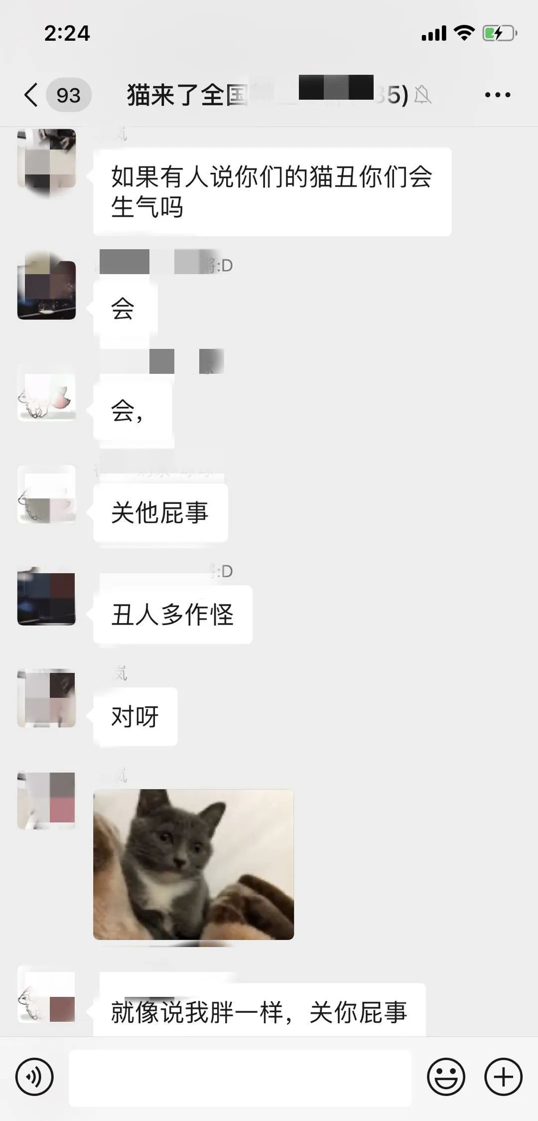 千万别对养猫的朋友说这10句话！