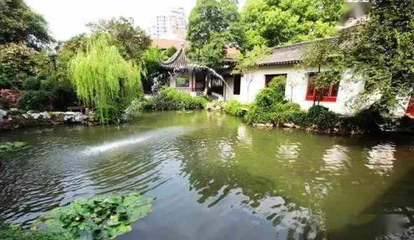 陈式金"我本无意为园,逢此良机,得以成,此园乃取名适园.