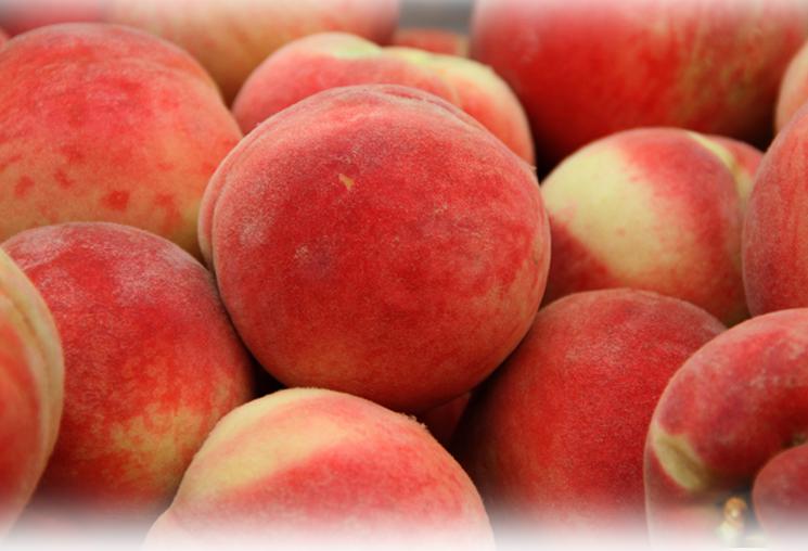 水果团恋61水蜜桃早春第一桃尝鲜季嫩滑爽口甜沁宜人