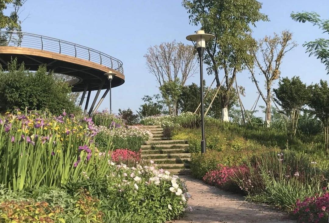 滑动查看更多刘子明先生在北林苑主持的项目深圳安托山博物公园深圳