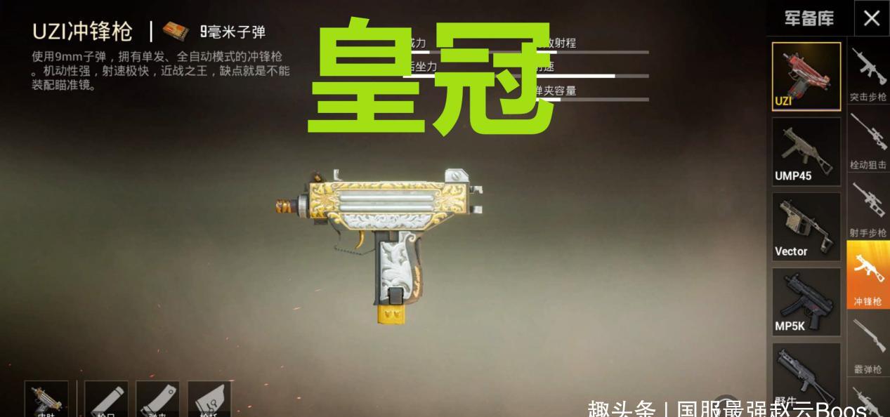铂金玩家选择的就是狗杂了,狗杂是一把空投专属步枪,在游戏中狗杂的