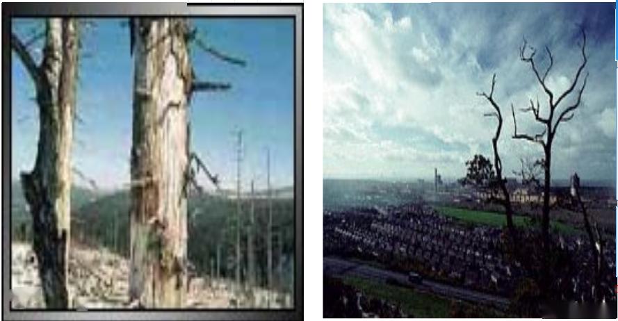酸雨建筑物,建筑物,建筑物简单_大山谷图库
