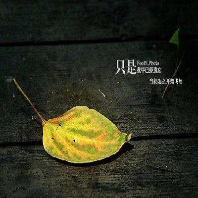 选择性遗忘人性使然