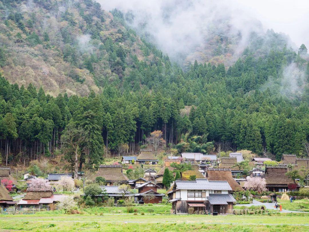 养老院的烟囱然而,我还看见了在可爱的郊外电车沿线田间小站无人乘坐