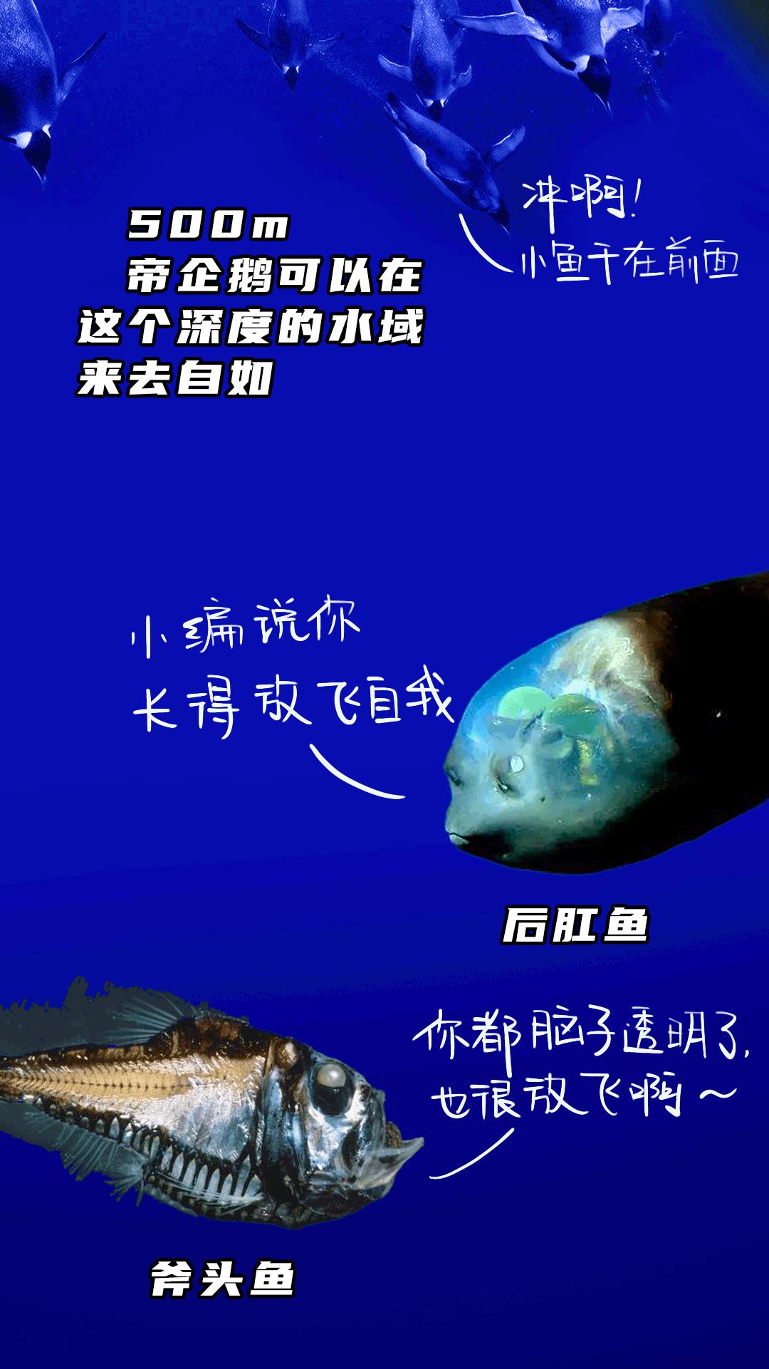 海洋冷知识海有多深还有多深