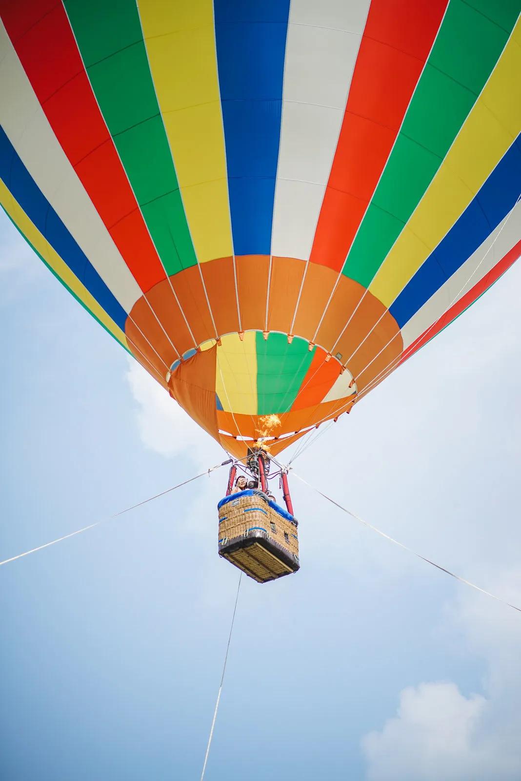 浪漫的热气球第一批游客竟然是鸡鸭羊