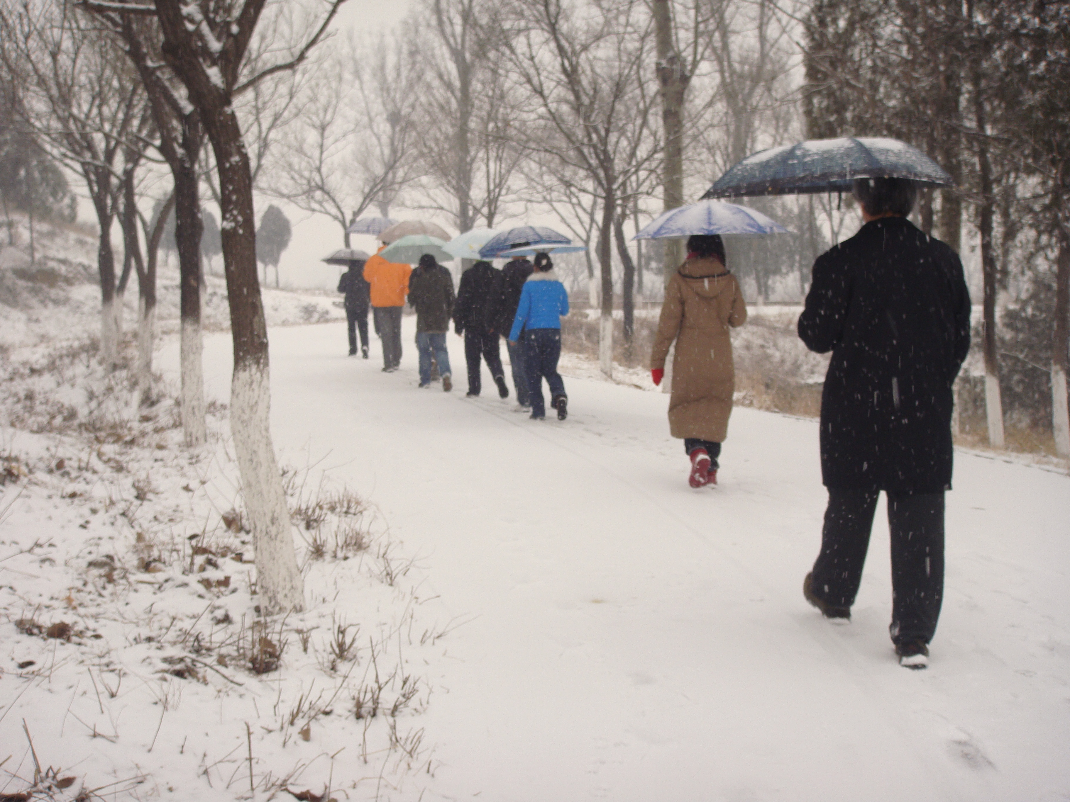 雪中散步念佛 摄于北京上苑艺术家村 2013226