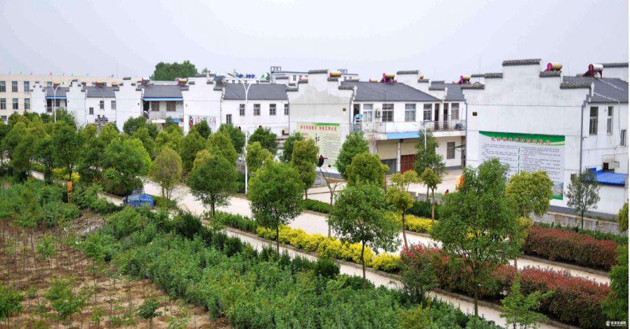 灵璧县冯庙镇●灵璧县渔沟镇卓庄村●灵璧县下楼镇高王村●灵璧县