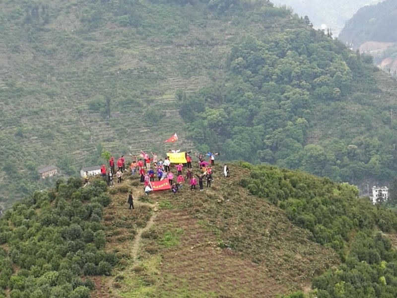 春遊江淮請您來歙縣最美茶旅線路發佈