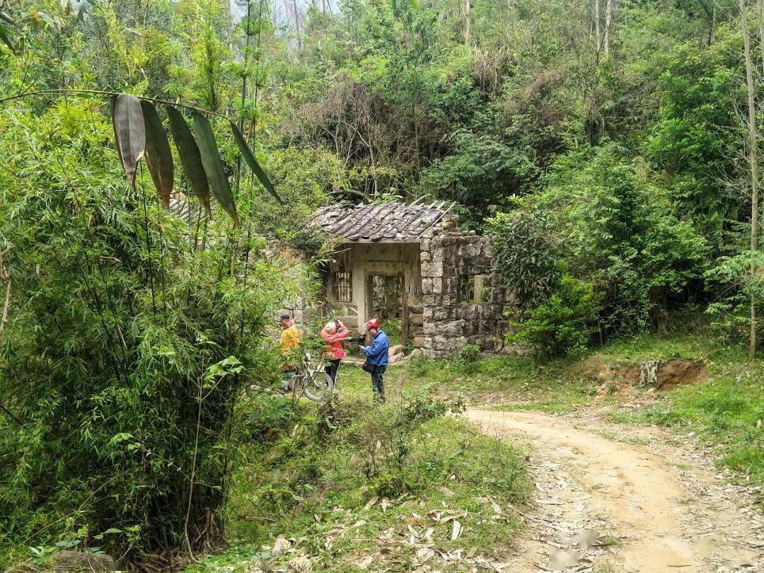 5月4日 穿越"红色村"党建示范村世田村-埔田村