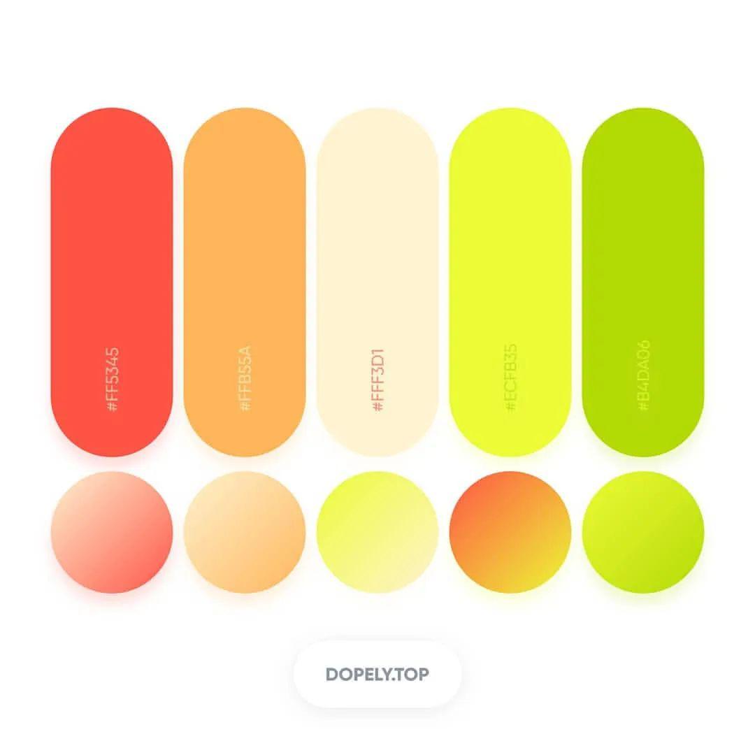 属于夏季の配色百张色卡一键领取