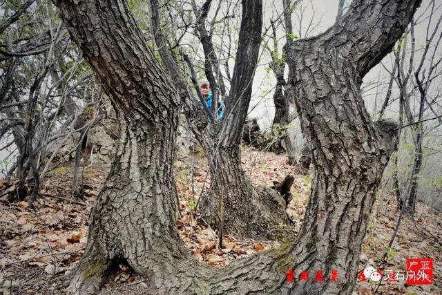 灵石美景全佛崖