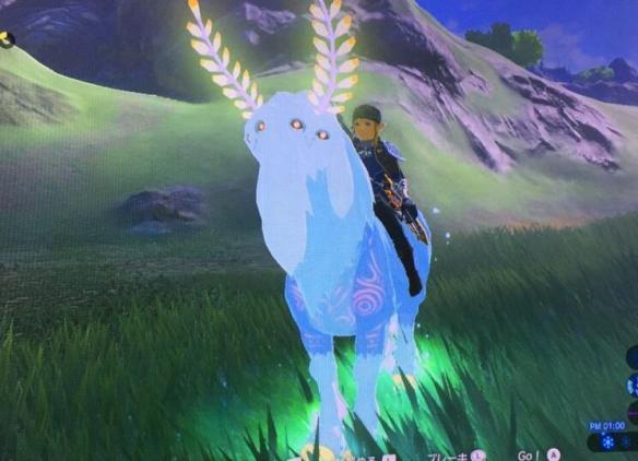 塞尔达传说荒野之息山神位置在哪塞尔达传说荒野之息山神位置