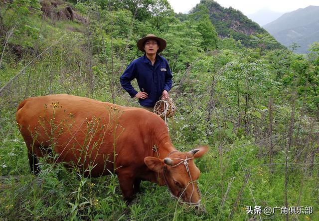 交大才子回農村種地讀書直播成網紅,賀號