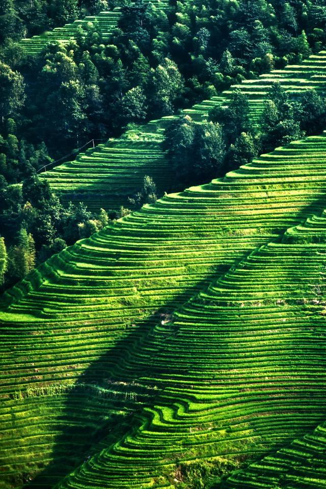 640_960竖版 竖屏