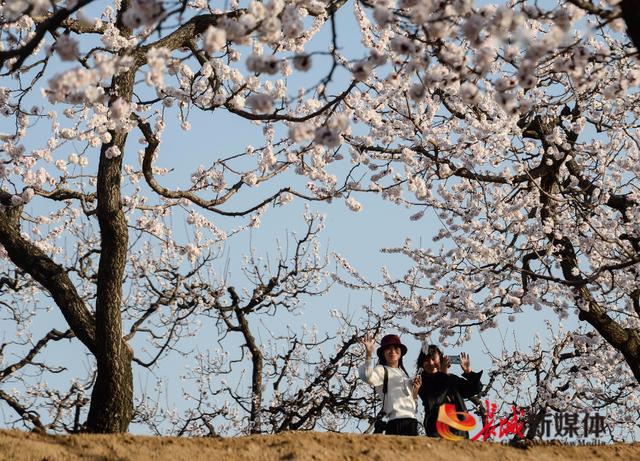 迁安城外探寻百花深处